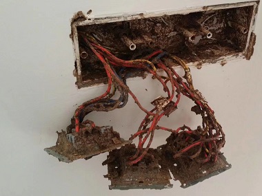 里水杀除白蚁中心杀虫剂对白蚁有用吗？